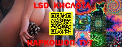 ECSTASY Бийск