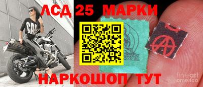 гашик Берёзовский