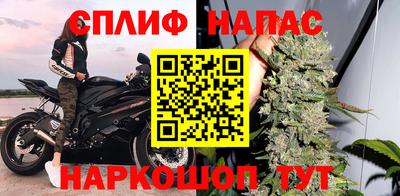 ECSTASY Бийск