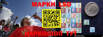 spice Беслан